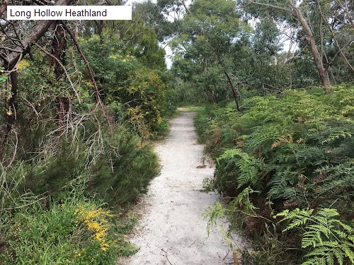 3 review location for tourist in Beaumaris, VIC Australia: 1. Long Hollow Heathland,2. Ricketts Point Marine Sanctuary (Parks Victoria),3. Tea House Reef,